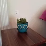 Chrysa's House