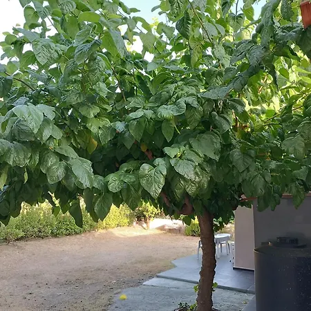 Chrysa's House * Éjo