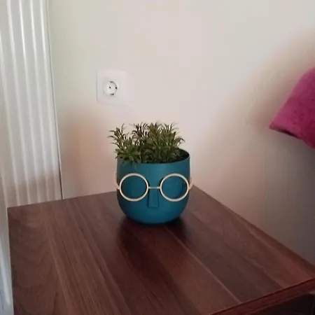 Chrysa's House